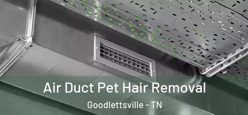  Air Duct Pet Hair Removal Goodlettsville - TN