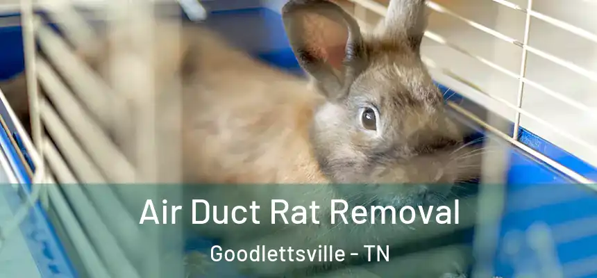 Air Duct Rat Removal Goodlettsville - TN