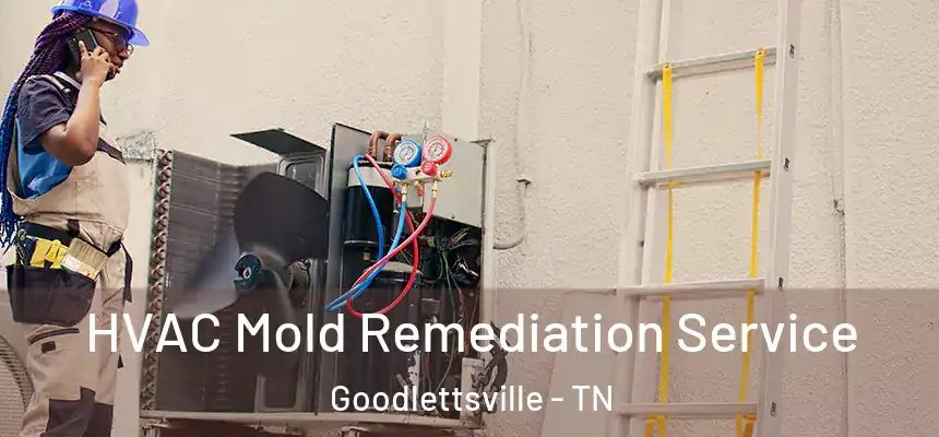  HVAC Mold Remediation Service Goodlettsville - TN