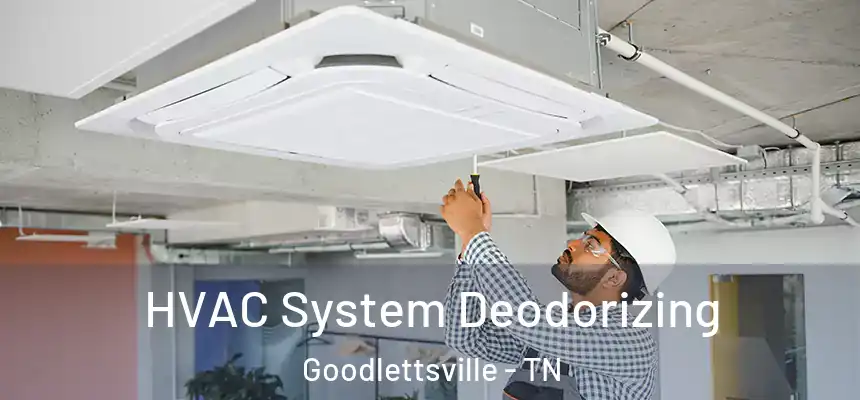 HVAC System Deodorizing Goodlettsville - TN