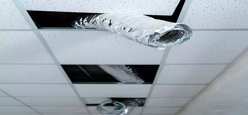 Affordable HVAC Sanitizing After Pest Removal in Goodlettsville