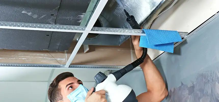 Our Air Duct Rodent Removal Services in Goodlettsville, TN