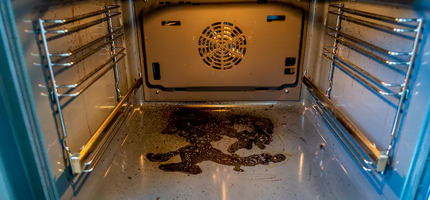 Our Dryer Vent Mold Cleaning Services in Goodlettsville, TN