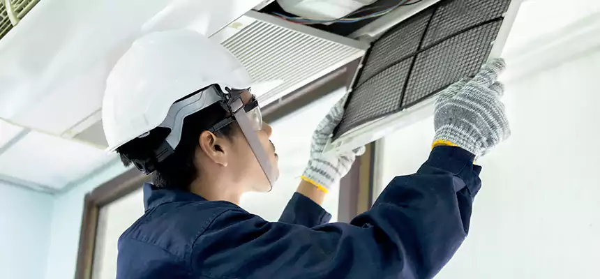 Our Mold & Mildew Removal from Air Ducts Services in Goodlettsville, TN