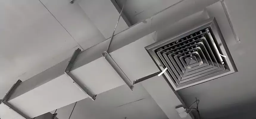 Our Rodent Droppings In Vents Services in Goodlettsville, TN