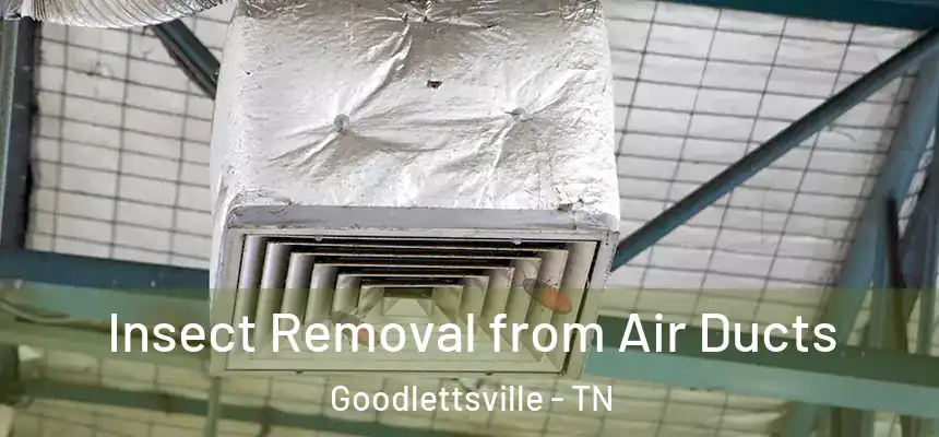 Insect Removal from Air Ducts Goodlettsville - TN