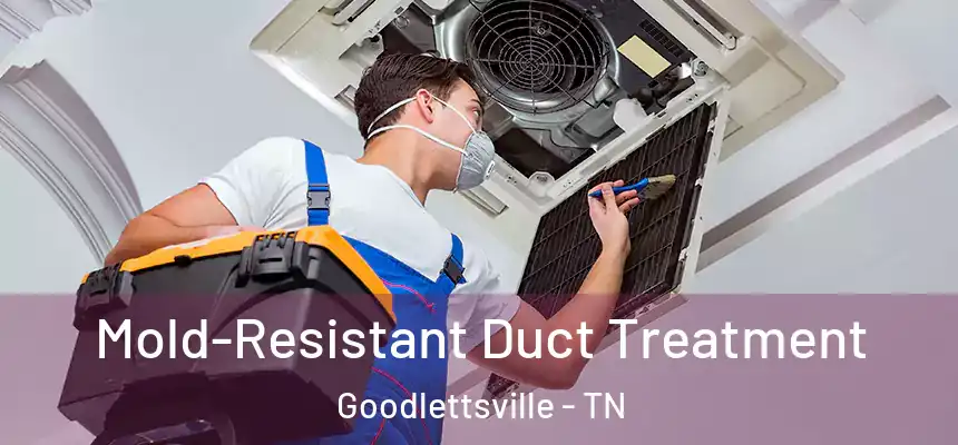  Mold-Resistant Duct Treatment Goodlettsville - TN