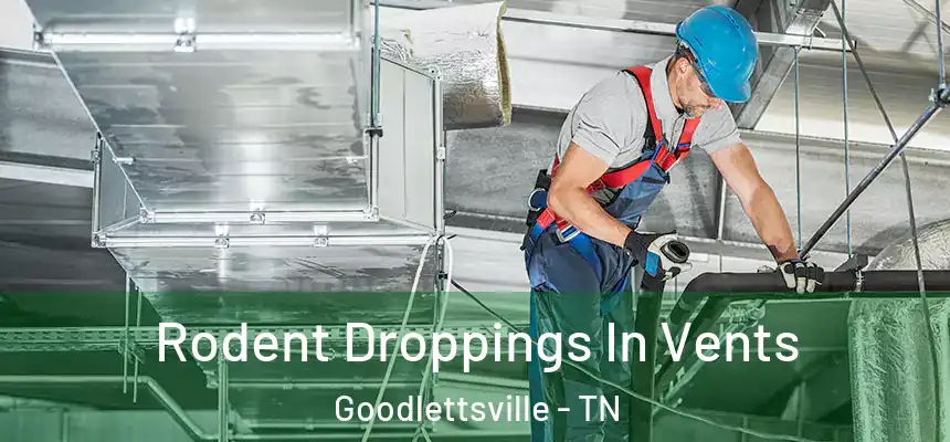  Rodent Droppings In Vents Goodlettsville - TN