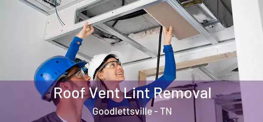  Roof Vent Lint Removal Goodlettsville - TN
