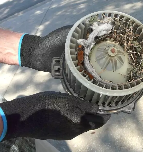 About Air Duct Mice Removal in Goodlettsville, TN