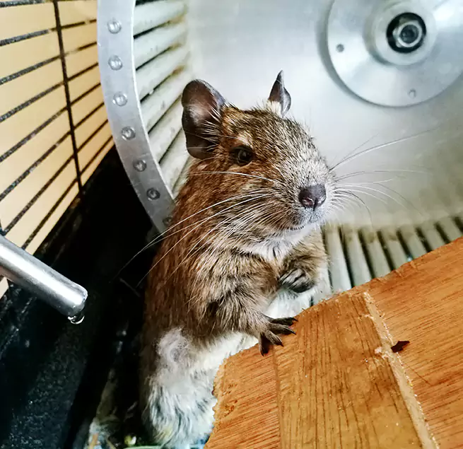 Why Homeowners & Businesses Trust Us Goodlettsville, TN